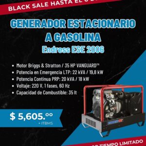 Generador Estacionario a Gasolina - ESE 2006 - Endress